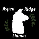 Aspen Ridge Llamas