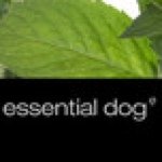 Essential Dog