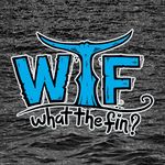 What the Fin Apparel