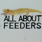 All About Feeders