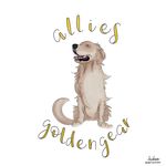 Allie’s Golden Gear
