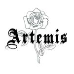 ARTEMIS ACCESSORIES