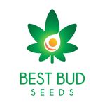 Best Bud Seeds