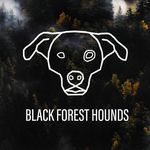 Black Forest Hounds