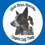 Blue Boys Biscuits