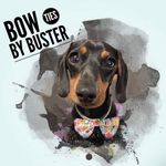 Bow ties By Buster