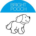 Bright Pooch
