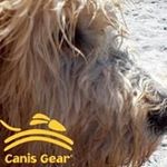 Canis Gear