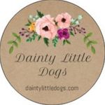 Dainty Little Dogs