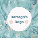 Darragh’s Dogs