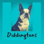 Diddingtons