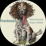 Franktasticdog