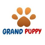 Grand puppy
