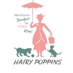 Hairy Poppins.be