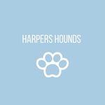 HARPERS HOUNDS