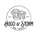Hugo and Storm