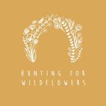 Hunting for Wildflowers