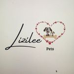 Lizilee Pets