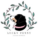Lucky Penny Petwear