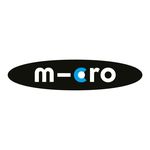 Micro Mobility Scooter Worldwide