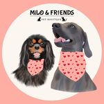 Milo And Friends Pet Boutique