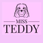 Miss Teddy