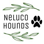 Neluco Hounds