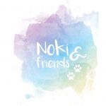 Noki & friends