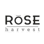 Rose Harvest 