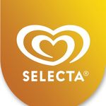 Selecta Ice Cream