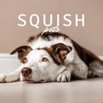 Squish Pets