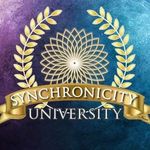 Synchronicity University