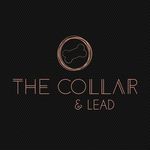 The Collar & Lead