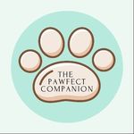 The Pawfect Companion