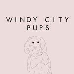 Windy City Pups