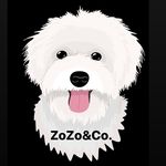 ZoZo&Co.